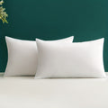 2pcs Throw Pillow Inserts, Square Pillow Cushion Inner Soft Fluffy Plump